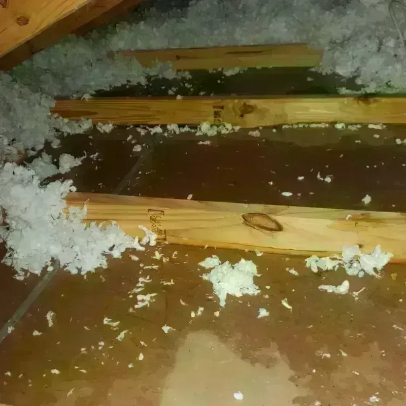 Attic Water Damage in Spring Hope, NC